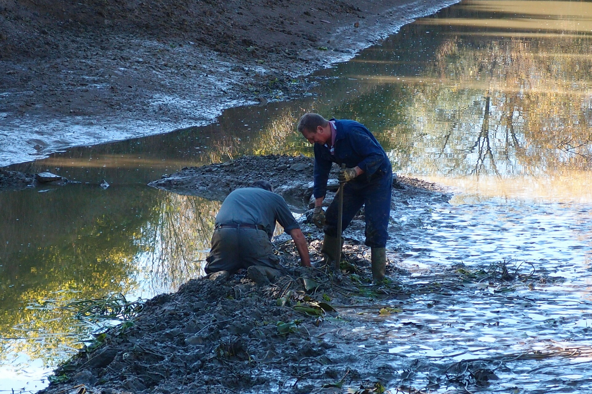 Galeriebild: PA183133